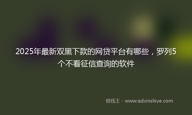 2025年最新双黑下款的网贷平台有哪些，罗列5个不看征信查询的软件