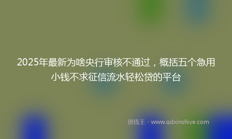 2025年最新为啥央行审核不通过，概括五个急用小钱不求征信流水轻松贷的平台
