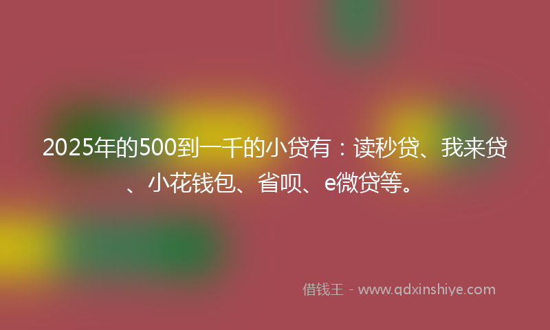2025年的500到一千的小贷有：读秒贷、我来贷、小花钱包、省呗、e微贷等。