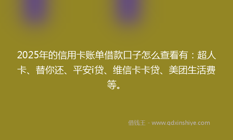 2025年的信用卡账单借款口子怎么查看有：超人卡、替你还、平安i贷、维信卡卡贷、美团生活费等。
