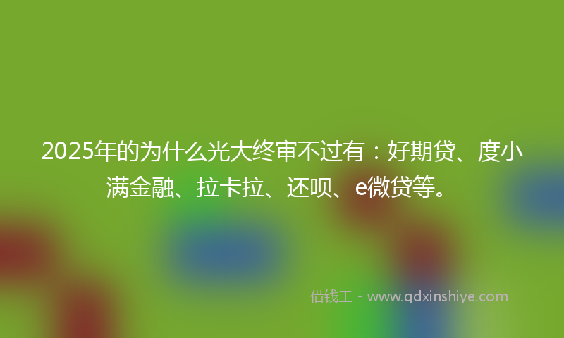 2025年的为什么光大终审不过有：好期贷、度小满金融、拉卡拉、还呗、e微贷等。
