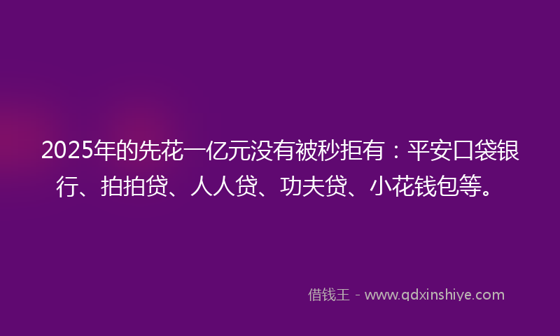 2025年的先花一亿元没有被秒拒有：平安口袋银行、拍拍贷、人人贷、功夫贷、小花钱包等。