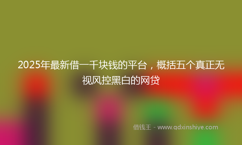 2025年最新借一千块钱的平台，概括五个真正无视风控黑白的网贷