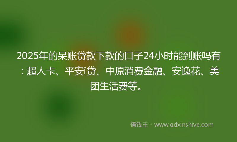 2025年的呆账贷款下款的口子24小时能到账吗有：超人卡、平安i贷、中原消费金融、安逸花、美团生活费等。