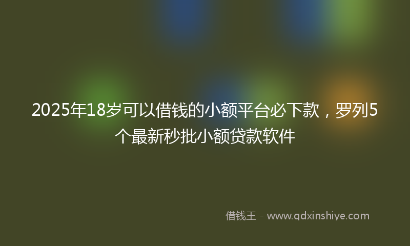 2025年18岁可以借钱的小额平台必下款，罗列5个最新秒批小额贷款软件