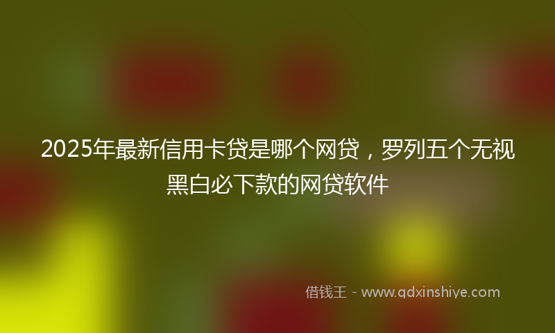 2025年最新信用卡贷是哪个网贷，罗列五个无视黑白必下款的网贷软件