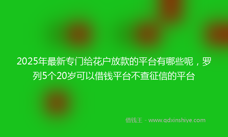 2025年最新专门给花户放款的平台有哪些呢，罗列5个20岁可以借钱平台不查征信的平台