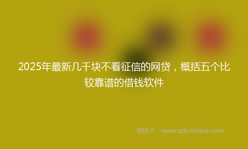 2025年最新几千块不看征信的网贷，概括五个比较靠谱的借钱软件