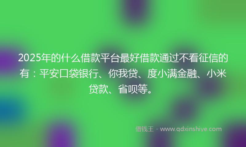 2025年的什么借款平台最好借款通过不看征信的有：平安口袋银行、你我贷、度小满金融、小米贷款、省呗等。