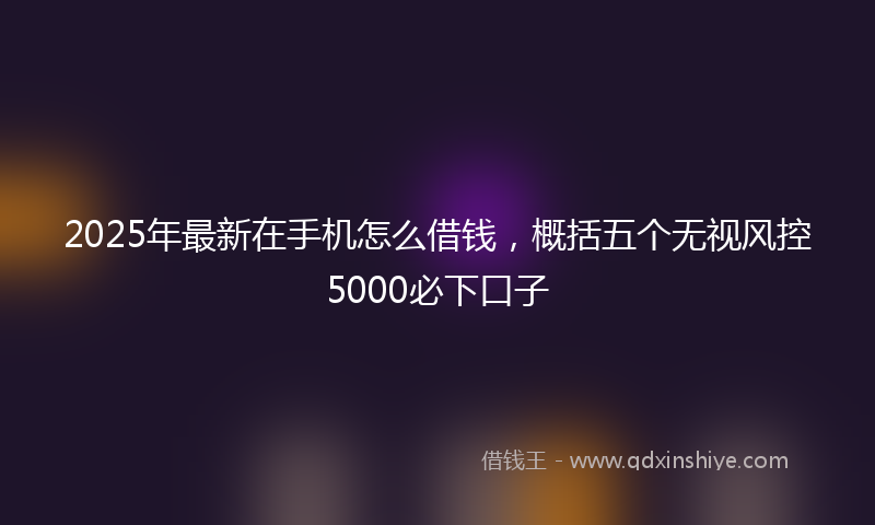 2025年最新在手机怎么借钱，概括五个无视风控5000必下口子