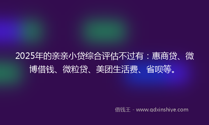 2025年的亲亲小贷综合评估不过有：惠商贷、微博借钱、微粒贷、美团生活费、省呗等。