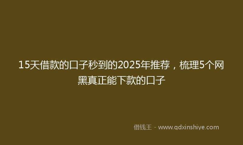 15天借款的口子秒到的2025年推荐，梳理5个网黑真正能下款的口子