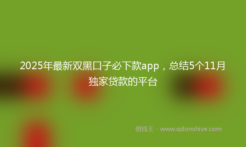 2025年最新双黑口子必下款app，总结5个11月独家贷款的平台