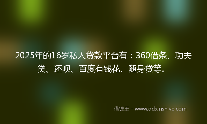2025年的16岁私人贷款平台有：360借条、功夫贷、还呗、百度有钱花、随身贷等。