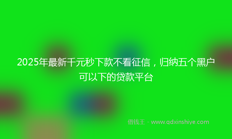 2025年最新千元秒下款不看征信，归纳五个黑户可以下的贷款平台