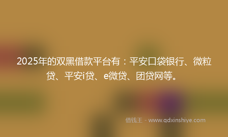 2025年的双黑借款平台有：平安口袋银行、微粒贷、平安i贷、e微贷、团贷网等。