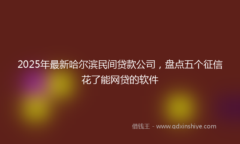 2025年最新哈尔滨民间贷款公司，盘点五个征信花了能网贷的软件