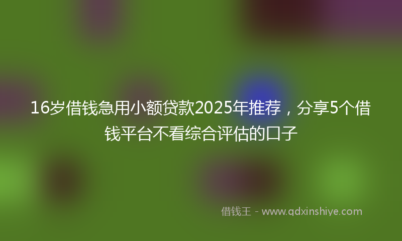 16岁借钱急用小额贷款2025年推荐，分享5个借钱平台不看综合评估的口子