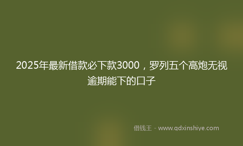 2025年最新借款必下款3000，罗列五个高炮无视逾期能下的口子