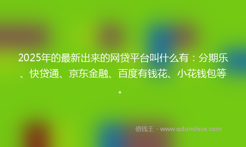 2025年的最新出来的网贷平台叫什么有：分期乐、快贷通、京东金融、百度有钱花、小花钱包等。