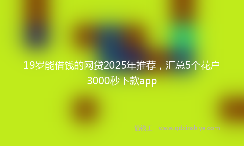 19岁能借钱的网贷2025年推荐，汇总5个花户3000秒下款app