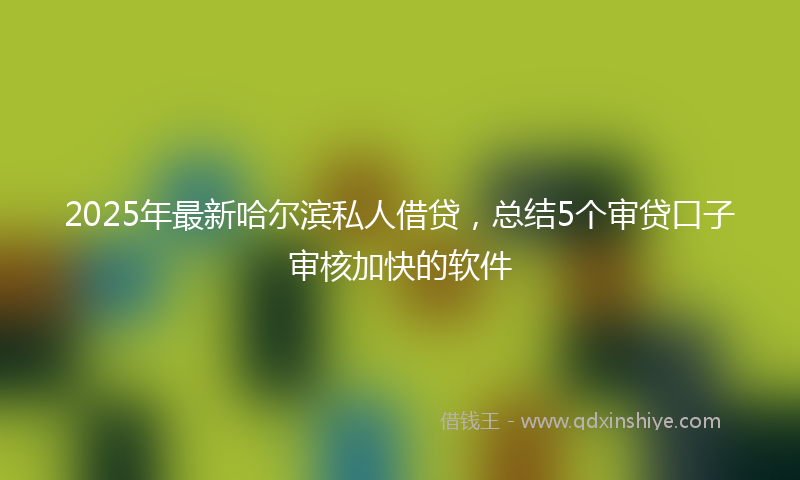 2025年最新哈尔滨私人借贷，总结5个审贷口子审核加快的软件