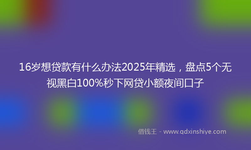 16岁想贷款有什么办法2025年精选，盘点5个无视黑白100%秒下网贷小额夜间口子