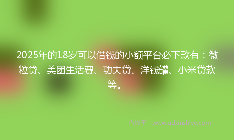 2025年的18岁可以借钱的小额平台必下款有：微粒贷、美团生活费、功夫贷、洋钱罐、小米贷款等。