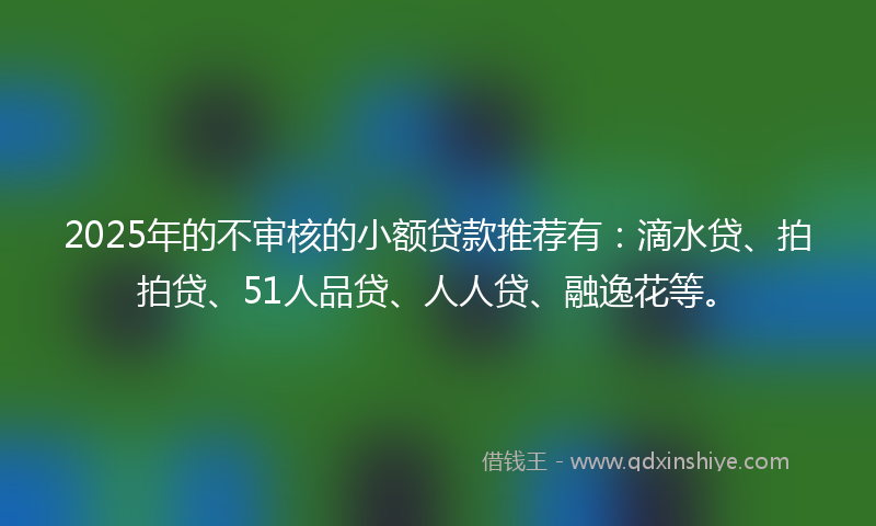 2025年的不审核的小额贷款推荐有：滴水贷、拍拍贷、51人品贷、人人贷、融逸花等。