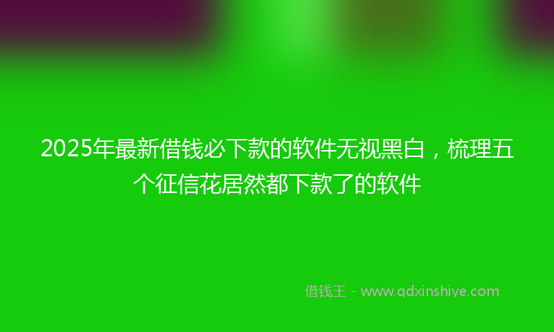 2025年最新借钱必下款的软件无视黑白，梳理五个征信花居然都下款了的软件
