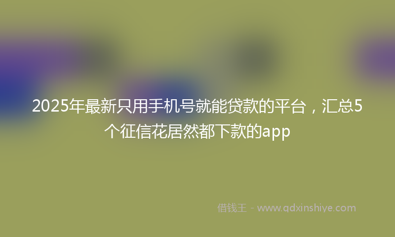 2025年最新只用手机号就能贷款的平台，汇总5个征信花居然都下款的app