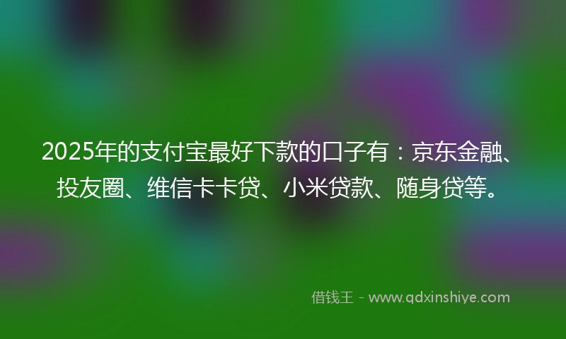 2025年的支付宝最好下款的口子有：京东金融、投友圈、维信卡卡贷、小米贷款、随身贷等。