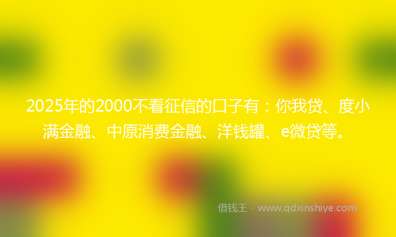 2025年的2000不看征信的口子有：你我贷、度小满金融、中原消费金融、洋钱罐、e微贷等。