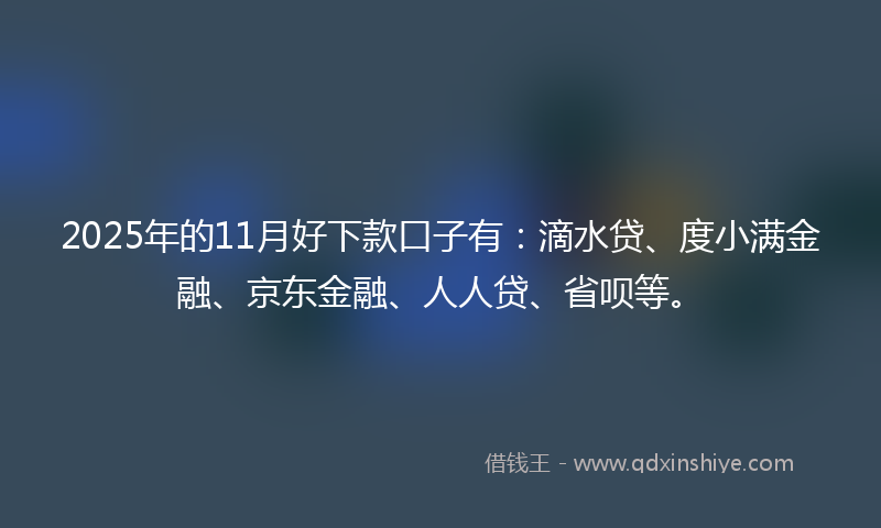 2025年的11月好下款口子有：滴水贷、度小满金融、京东金融、人人贷、省呗等。