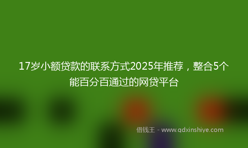 17岁小额贷款的联系方式2025年推荐，整合5个能百分百通过的网贷平台