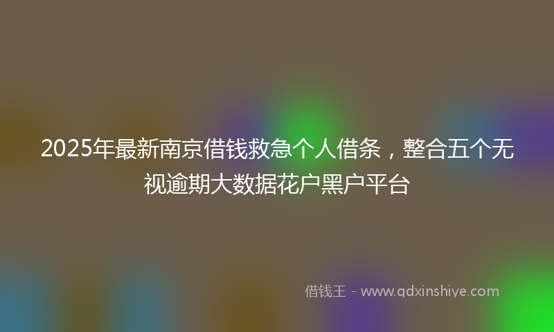2025年最新南京借钱救急个人借条，整合五个无视逾期大数据花户黑户平台
