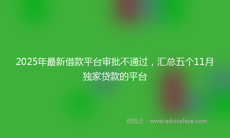 2025年最新借款平台审批不通过，汇总五个11月独家贷款的平台