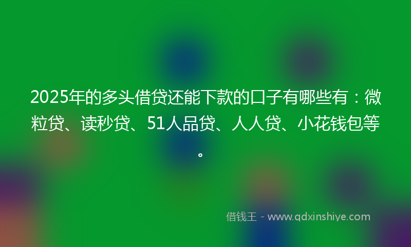 2025年的多头借贷还能下款的口子有哪些有：微粒贷、读秒贷、51人品贷、人人贷、小花钱包等。