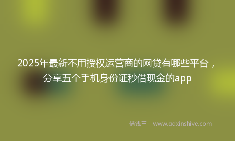 2025年最新不用授权运营商的网贷有哪些平台，分享五个手机身份证秒借现金的app