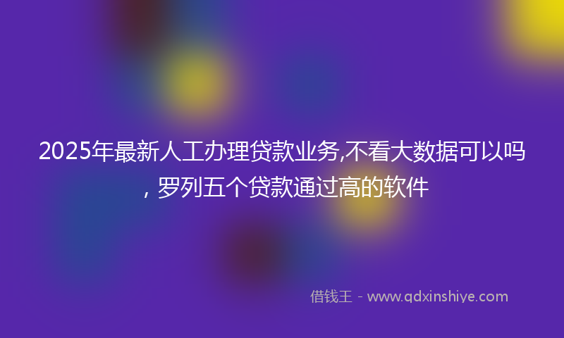 2025年最新人工办理贷款业务,不看大数据可以吗，罗列五个贷款通过高的软件