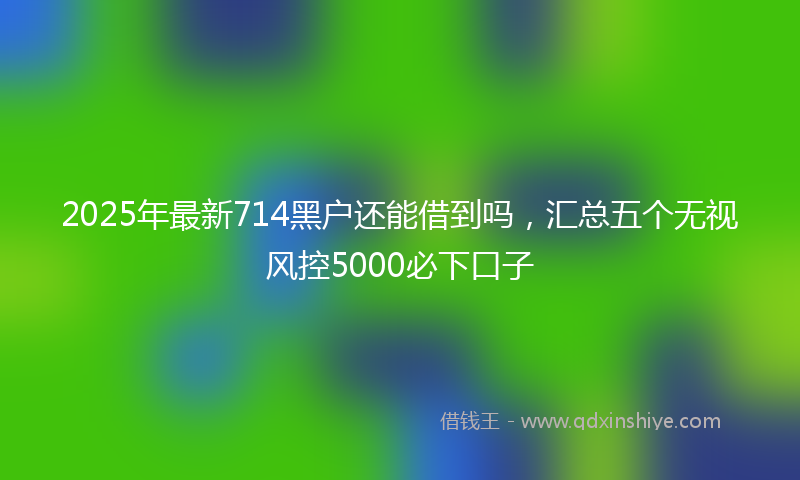 2025年最新714黑户还能借到吗，汇总五个无视风控5000必下口子