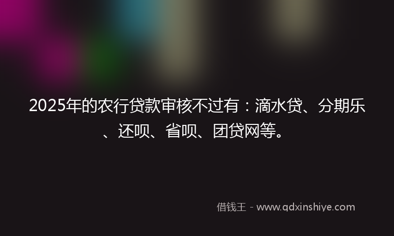 2025年的农行贷款审核不过有：滴水贷、分期乐、还呗、省呗、团贷网等。
