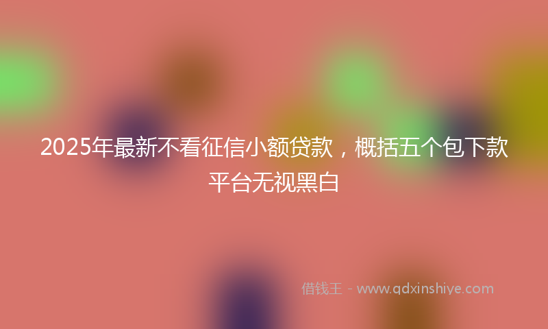 2025年最新不看征信小额贷款，概括五个包下款平台无视黑白