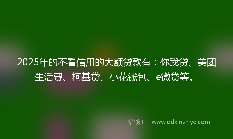 2025年的不看信用的大额贷款有：你我贷、美团生活费、柯基贷、小花钱包、e微贷等。