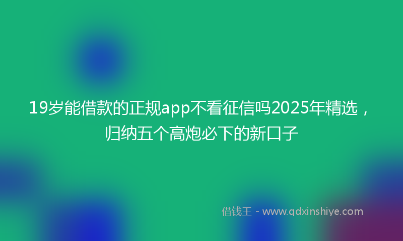19岁能借款的正规app不看征信吗2025年精选，归纳五个高炮必下的新口子