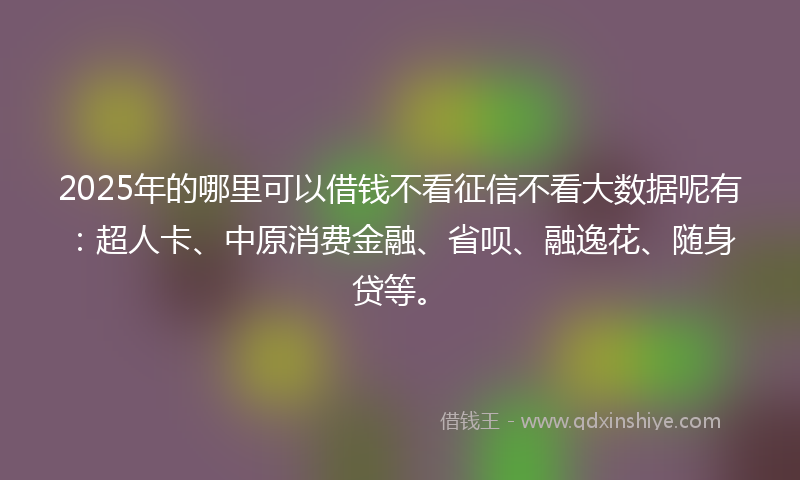 2025年的哪里可以借钱不看征信不看大数据呢有：超人卡、中原消费金融、省呗、融逸花、随身贷等。