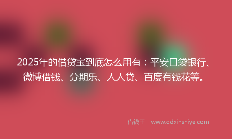 2025年的借贷宝到底怎么用有：平安口袋银行、微博借钱、分期乐、人人贷、百度有钱花等。