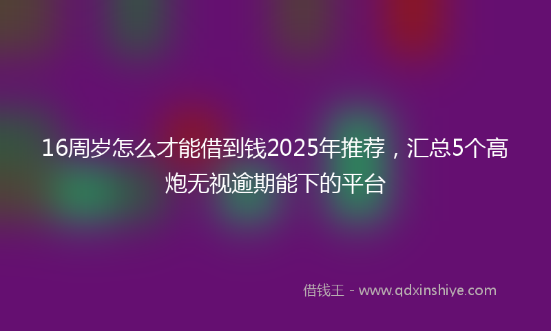 16周岁怎么才能借到钱2025年推荐，汇总5个高炮无视逾期能下的平台