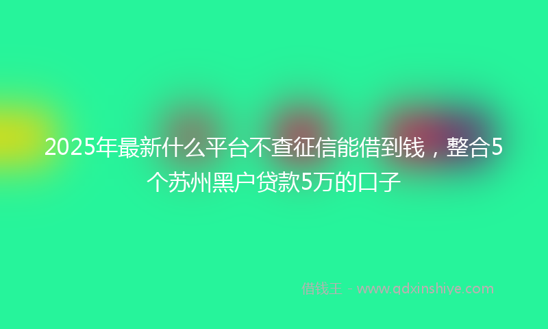 2025年最新什么平台不查征信能借到钱，整合5个苏州黑户贷款5万的口子