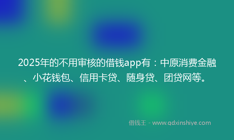 2025年的不用审核的借钱app有：中原消费金融、小花钱包、信用卡贷、随身贷、团贷网等。